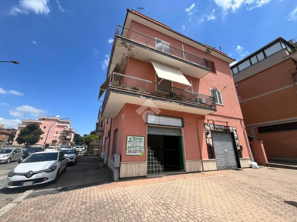 immagine annuncio 12 di 13