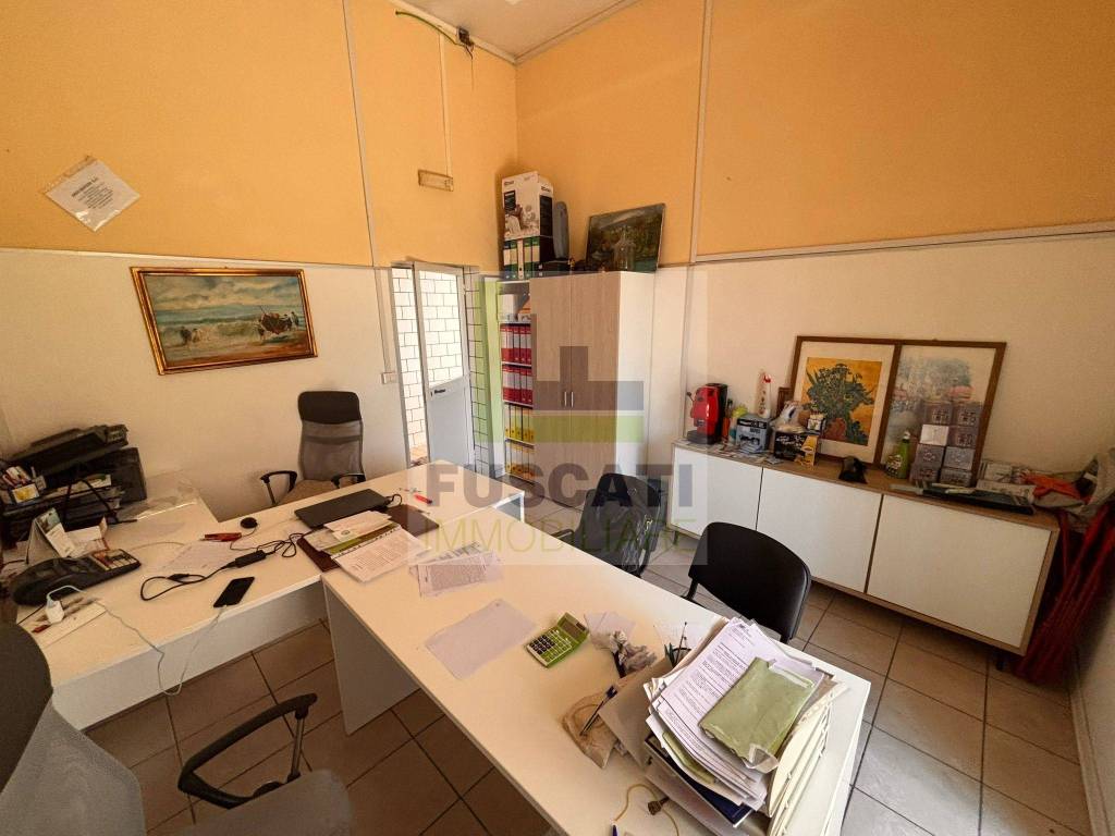 immagine annuncio 12 di 15