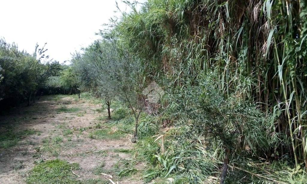 immagine annuncio 6 di 7