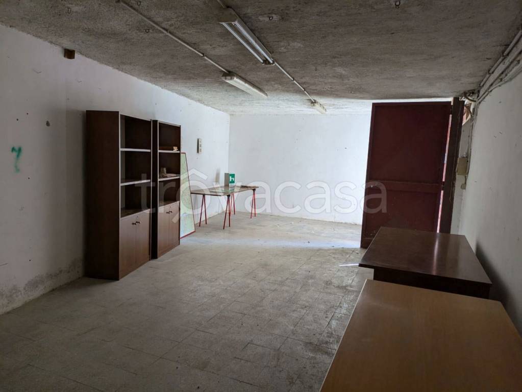 immagine annuncio 3 di 6