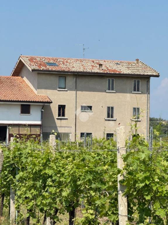 immagine annuncio 1 di 9