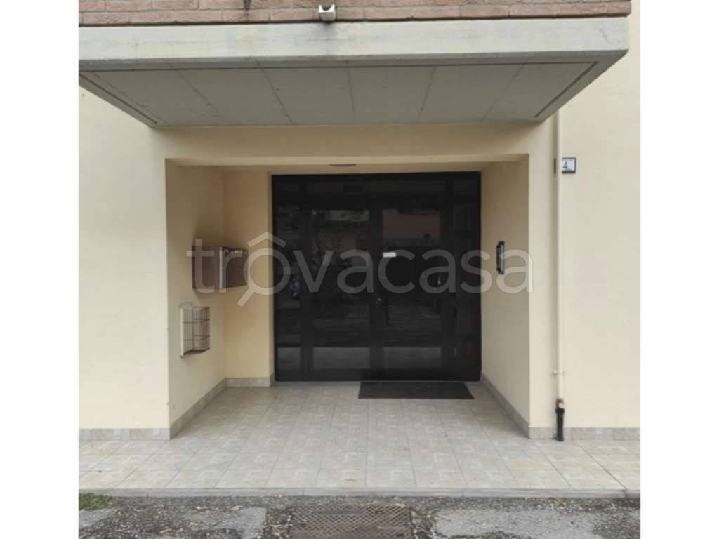 immagine annuncio 7 di 11
