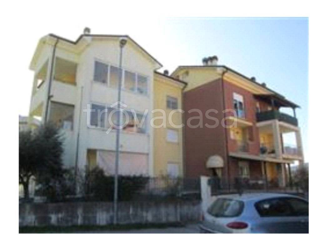 immagine annuncio 1 di 12