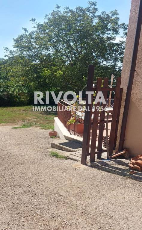 immagine annuncio 12 di 13