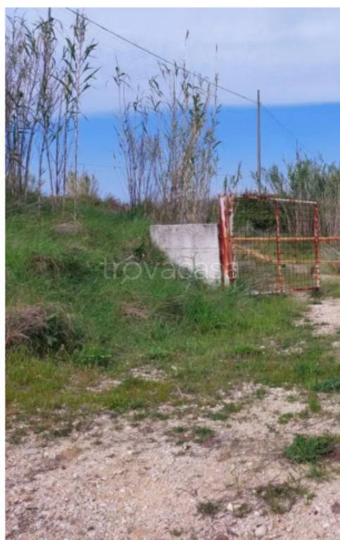 immagine annuncio 6 di 11