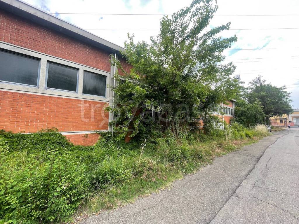 immagine annuncio 1 di 14