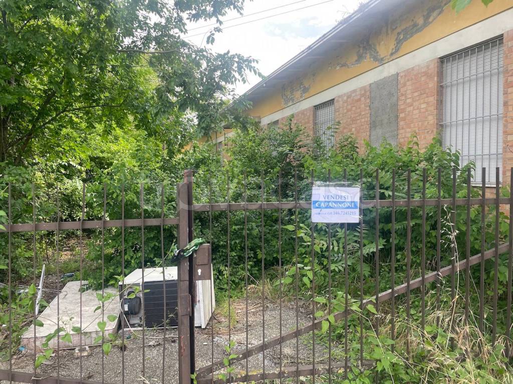 immagine annuncio 2 di 14