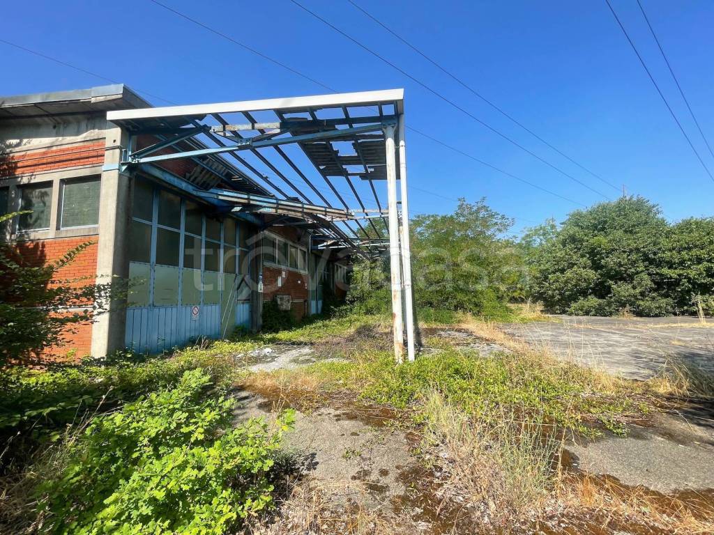 immagine annuncio 3 di 14