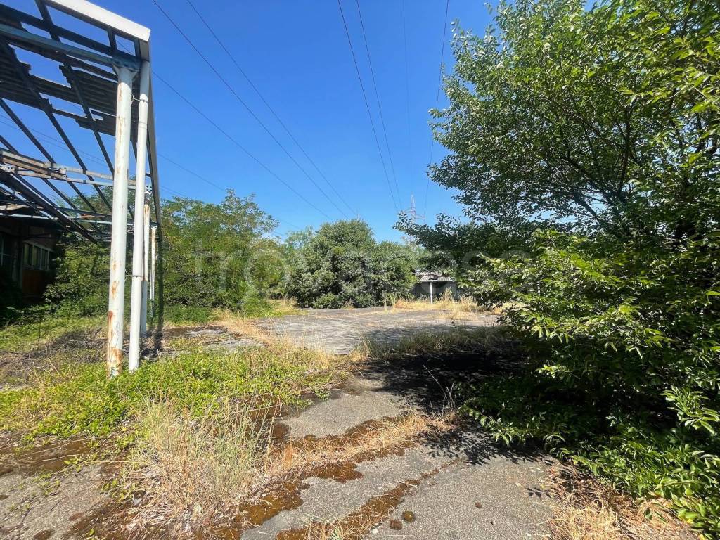 immagine annuncio 4 di 14