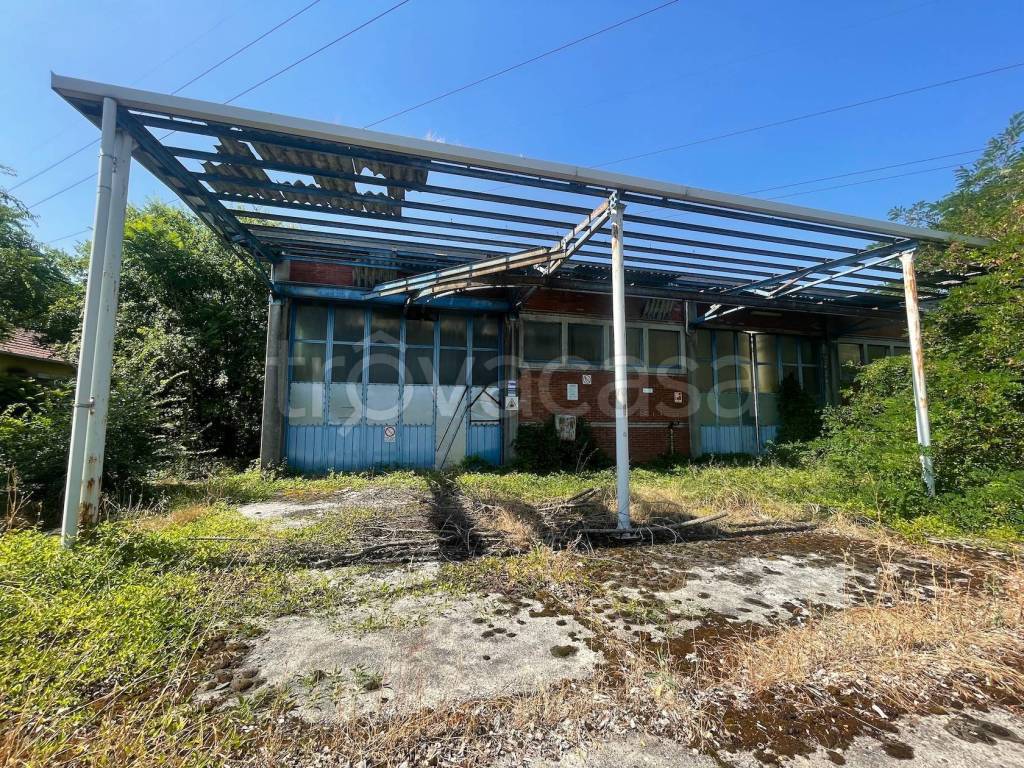 immagine annuncio 5 di 14