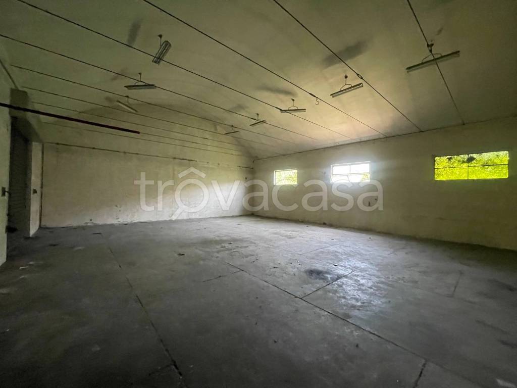 immagine annuncio 6 di 14