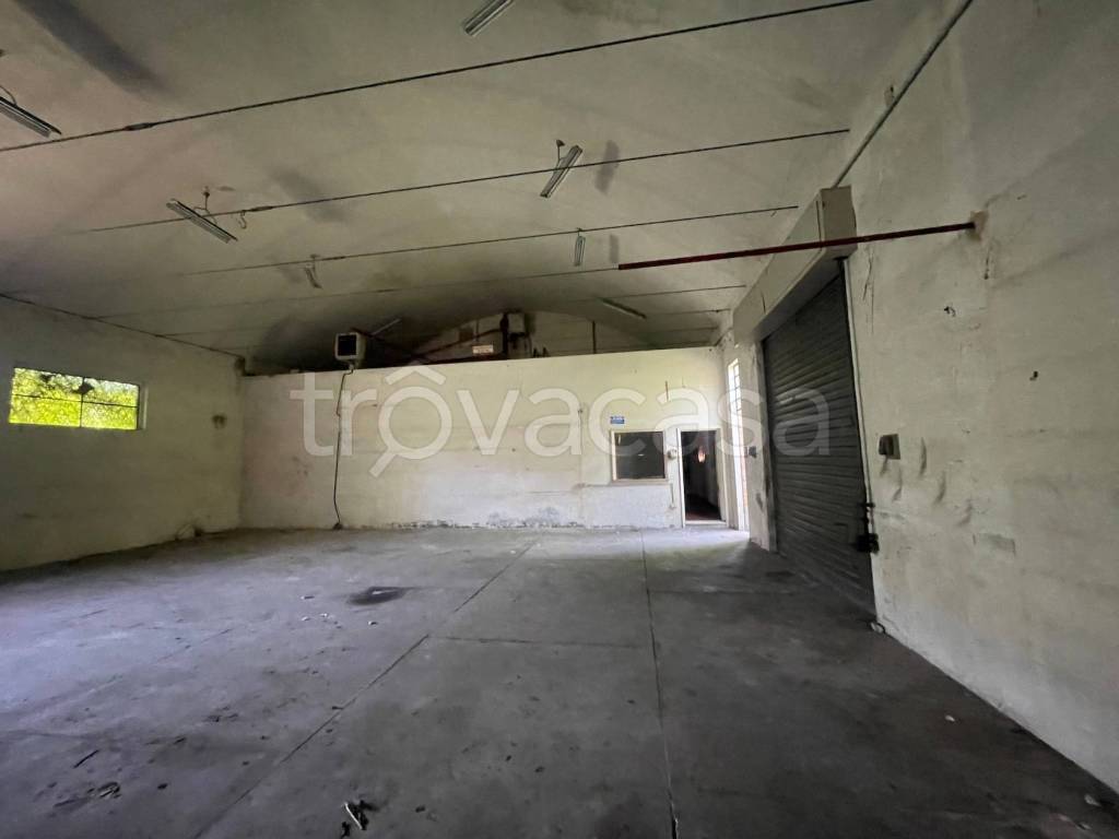 immagine annuncio 9 di 14