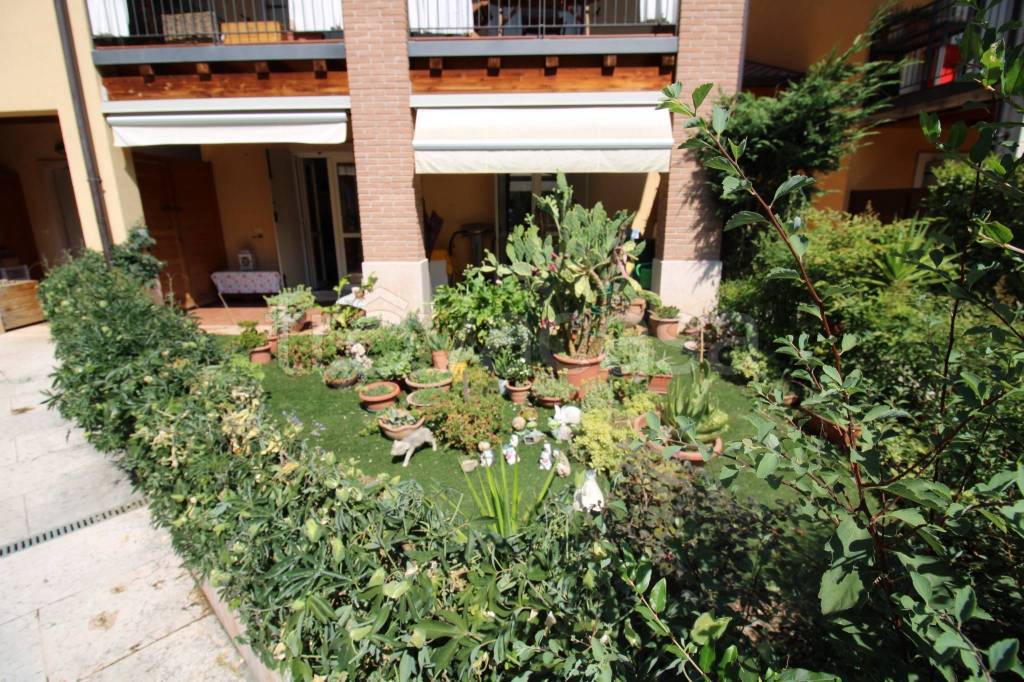 immagine annuncio 1 di 14