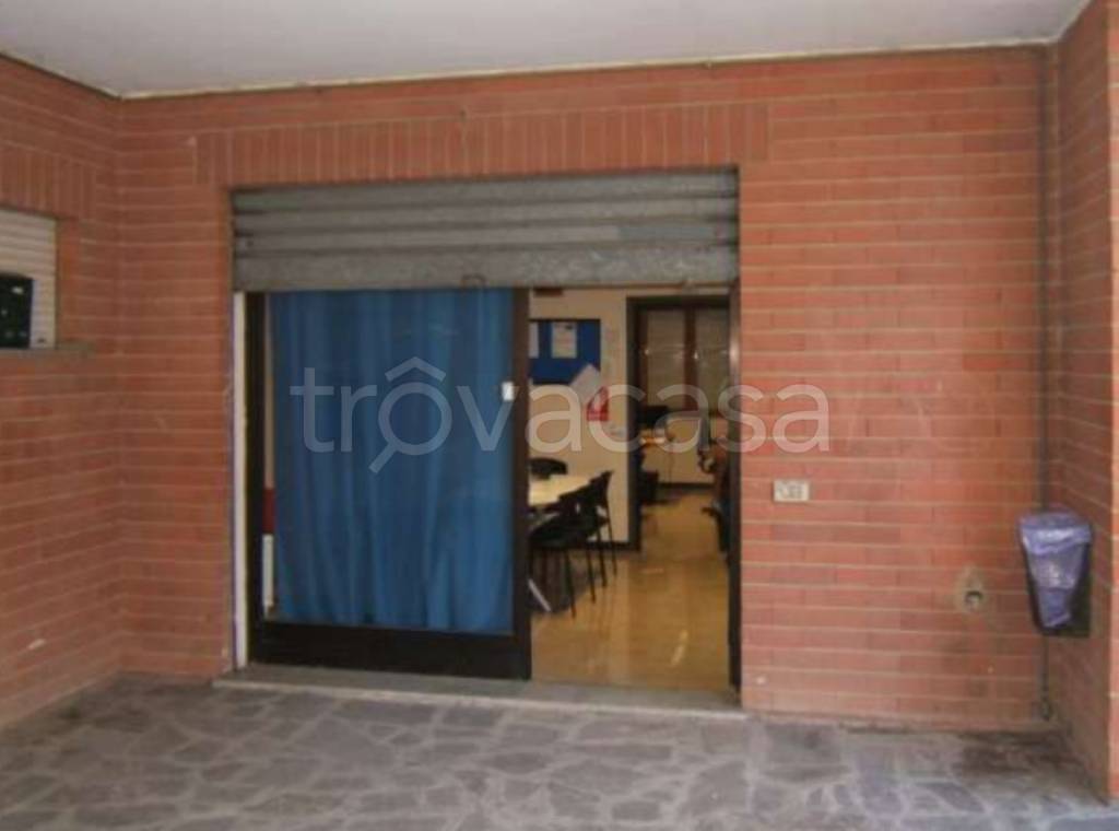 immagine annuncio 10 di 14