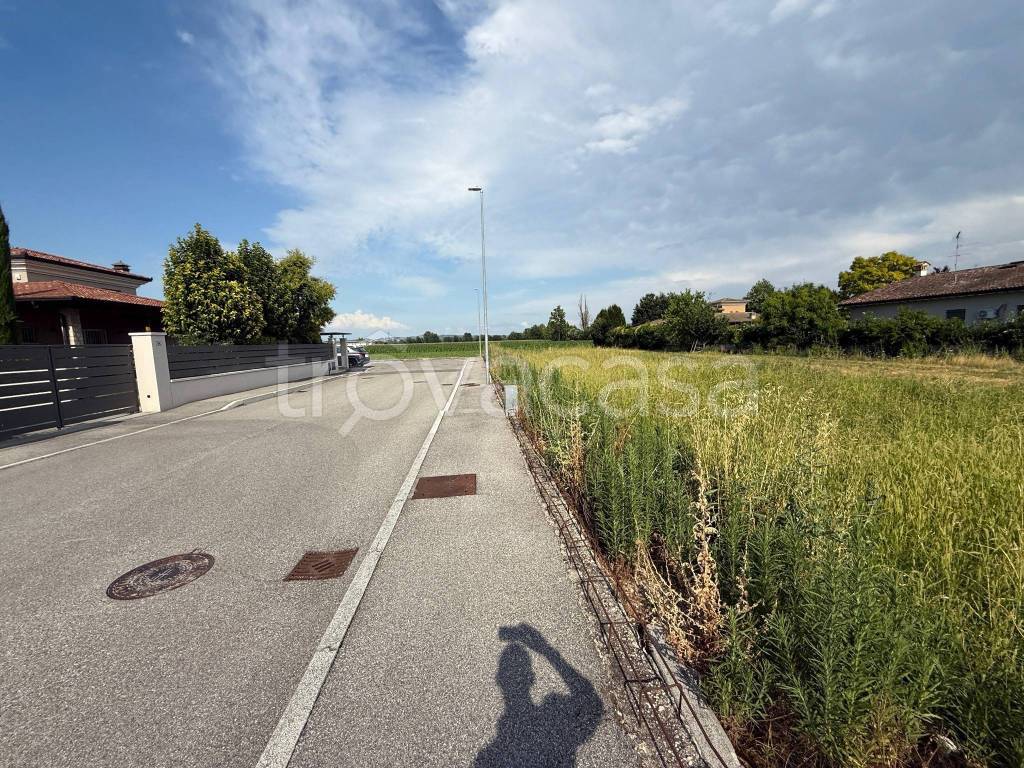 immagine annuncio 5 di 14