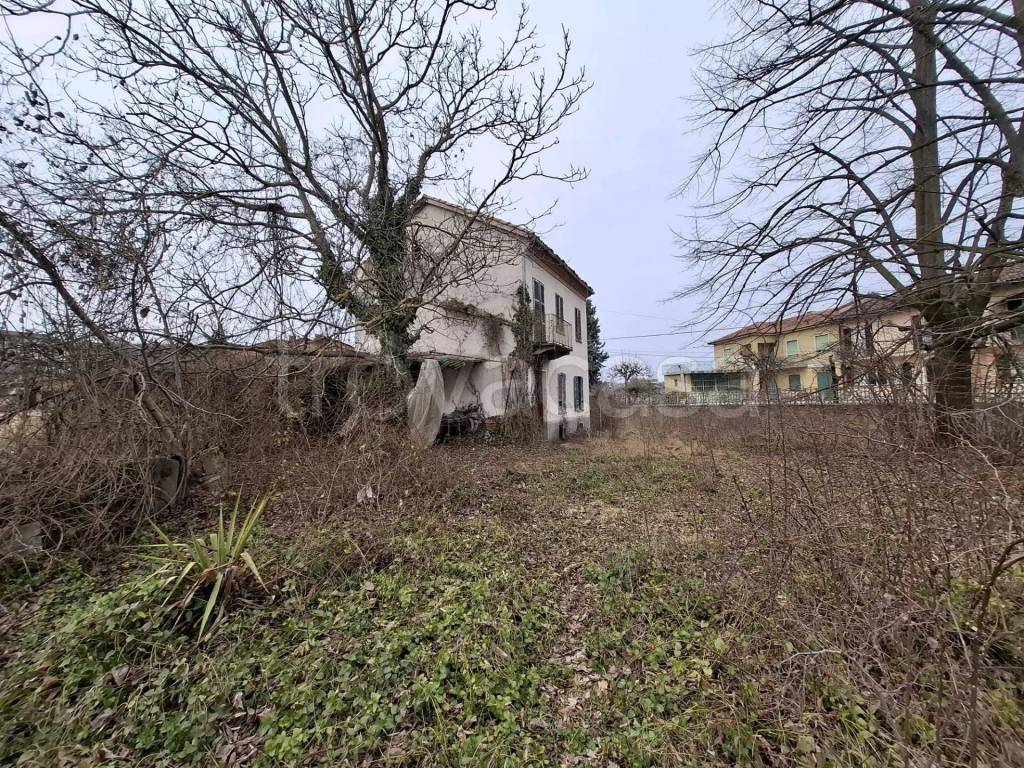 immagine annuncio 1 di 8