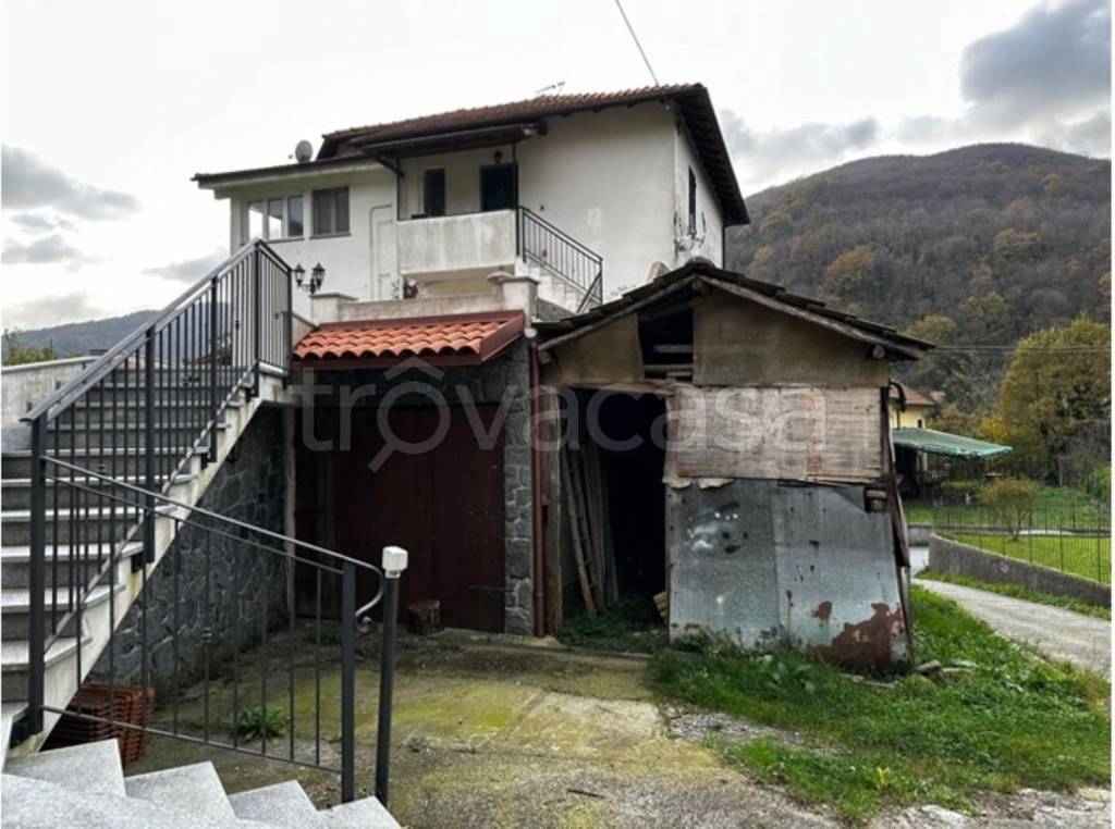 immagine annuncio 4 di 11