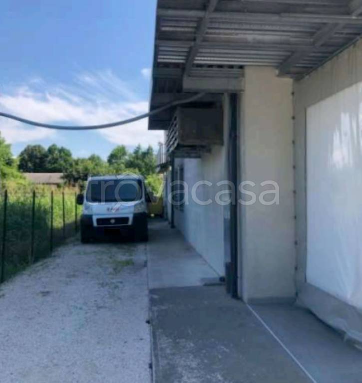 immagine annuncio 4 di 11