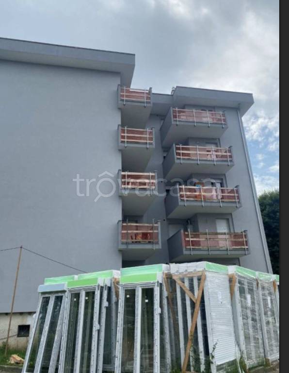 immagine annuncio 5 di 12