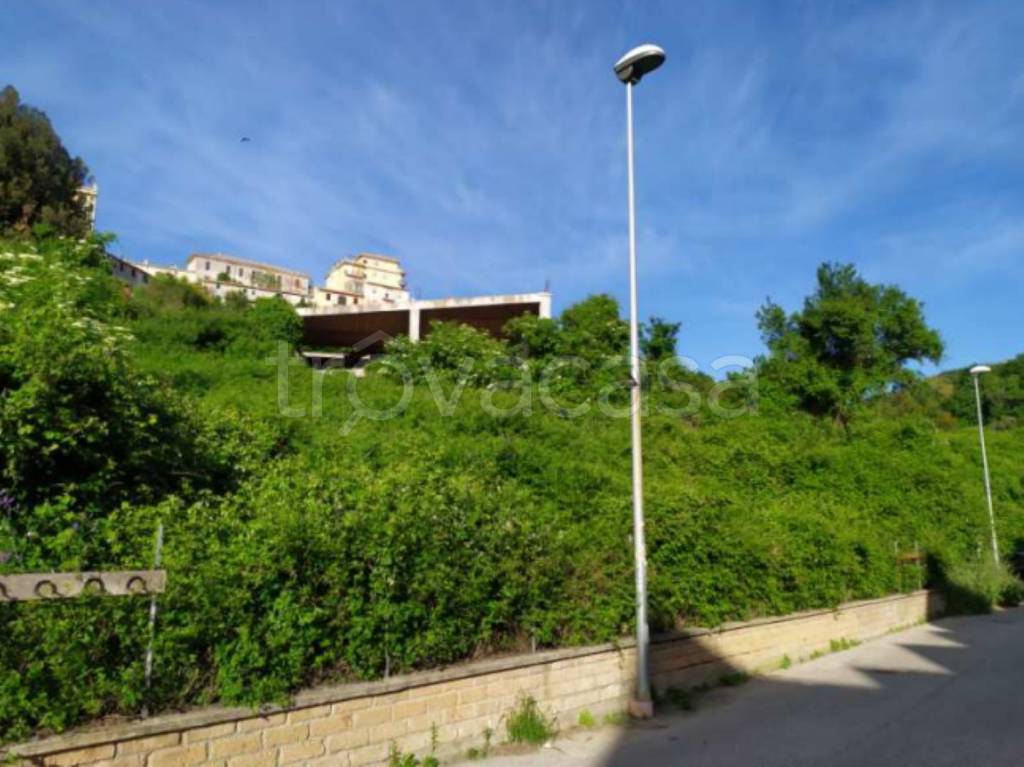 immagine annuncio 4 di 11