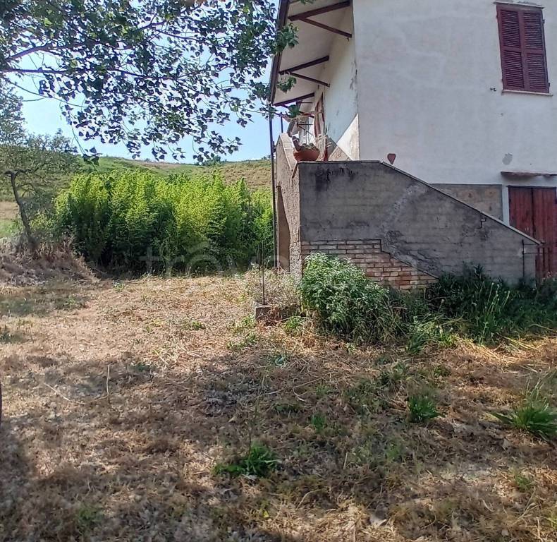 immagine annuncio 11 di 14