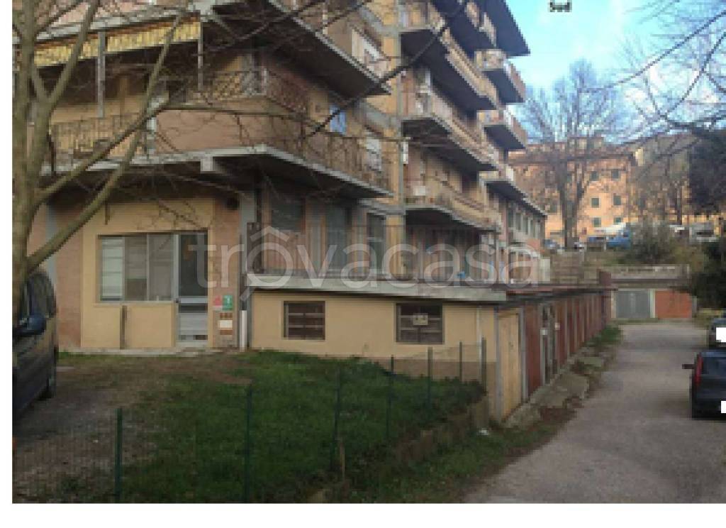 immagine annuncio 10 di 12