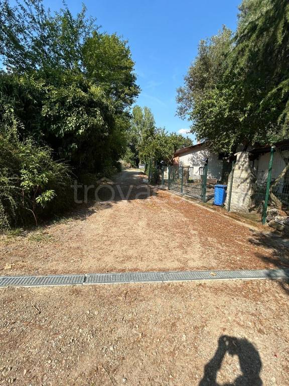 immagine annuncio 12 di 14