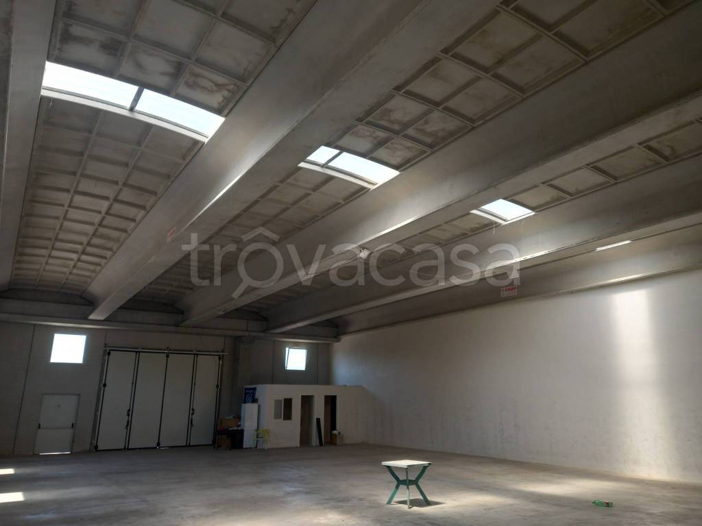 immagine annuncio 6 di 9