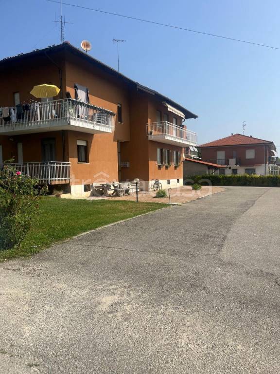 immagine annuncio 12 di 14