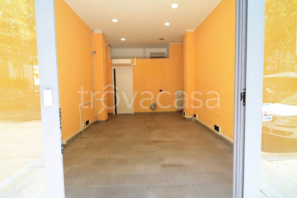 immagine annuncio 2 di 14