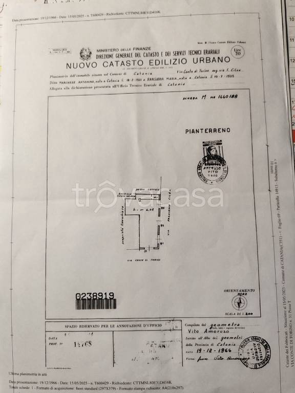 immagine annuncio 11 di 12