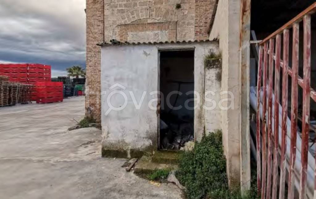 immagine annuncio 11 di 13
