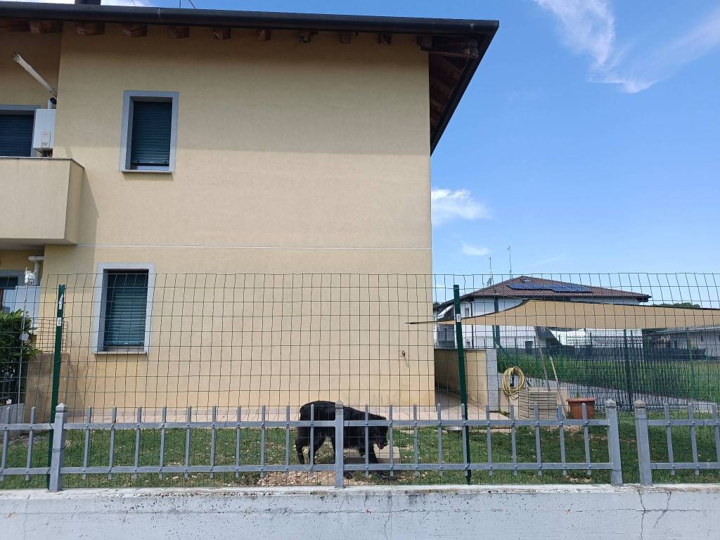 immagine annuncio 2 di 15