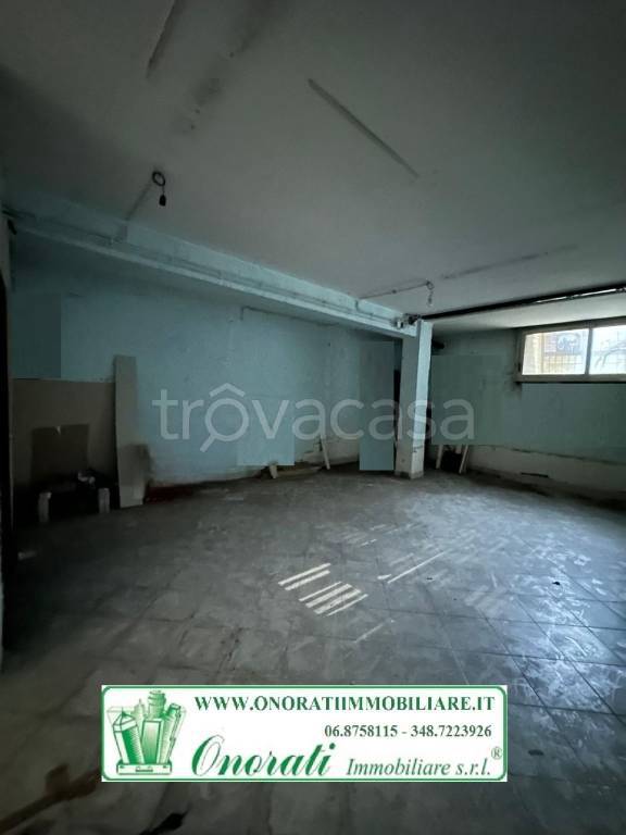 immagine annuncio 10 di 12