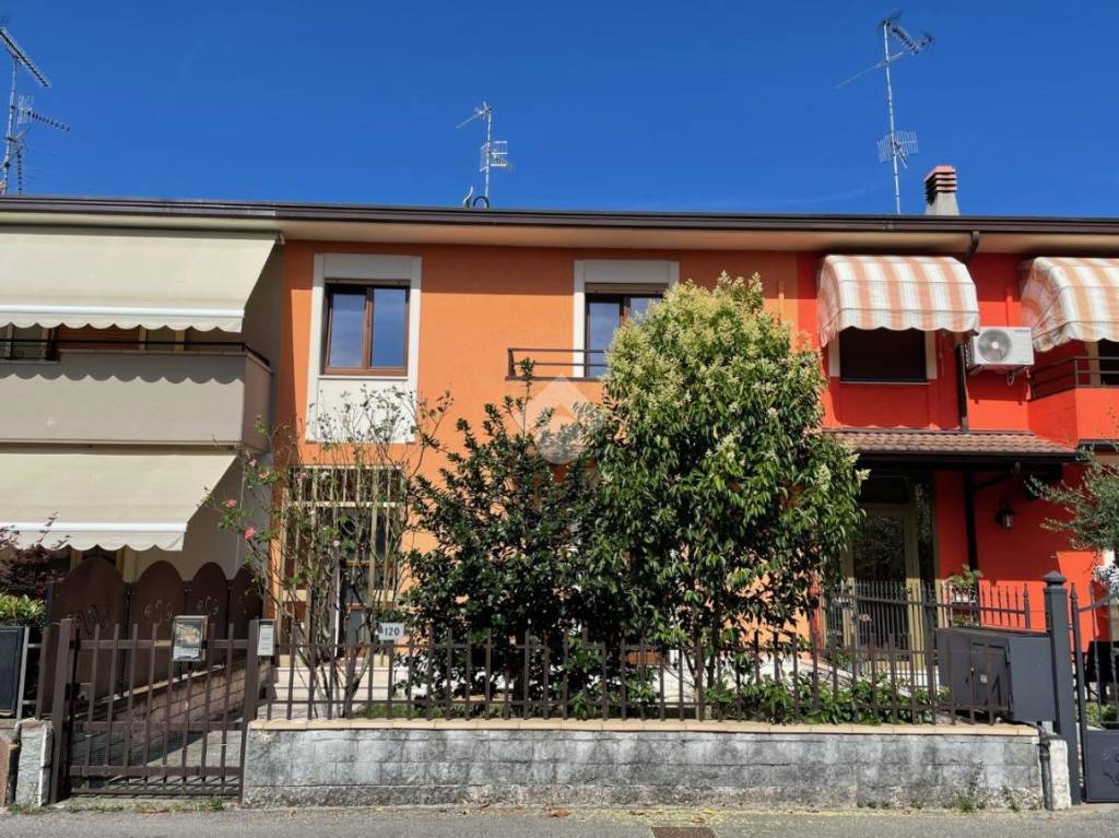 immagine annuncio 1 di 15