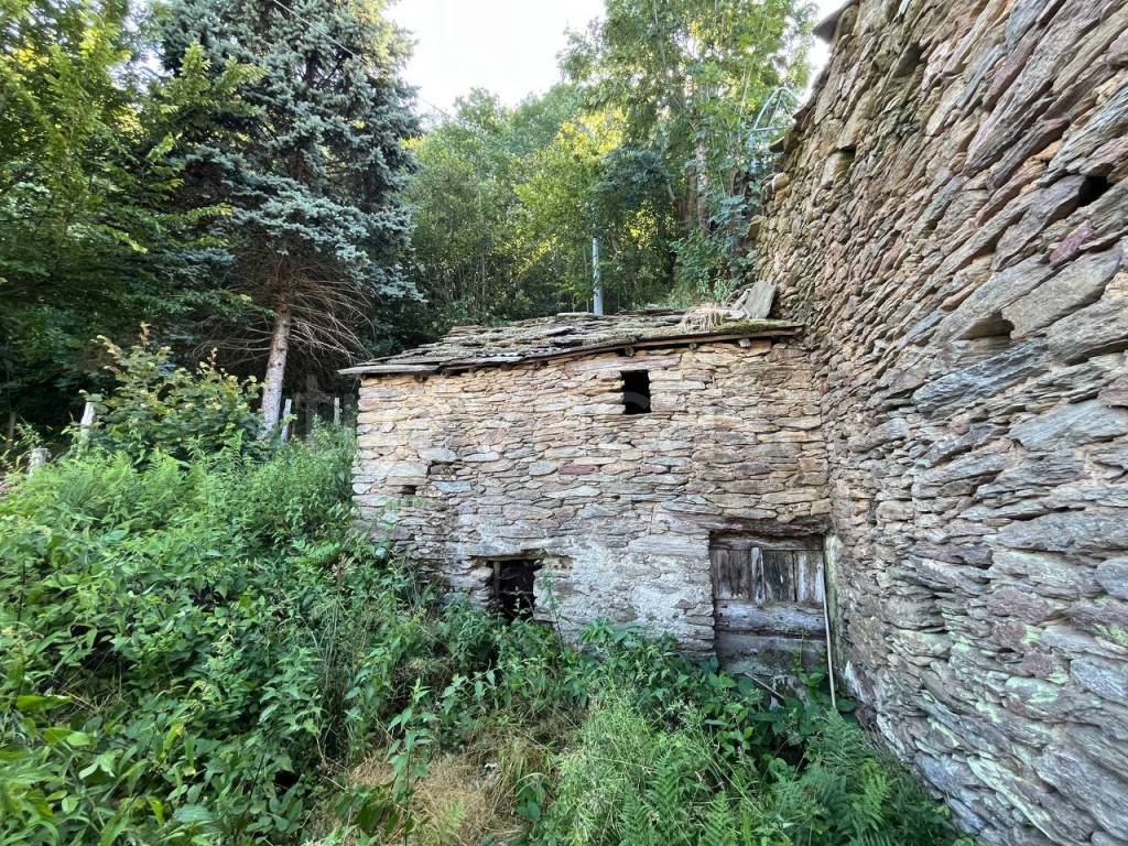 immagine annuncio 3 di 7