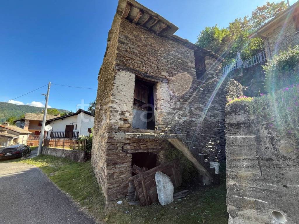 immagine annuncio 5 di 7