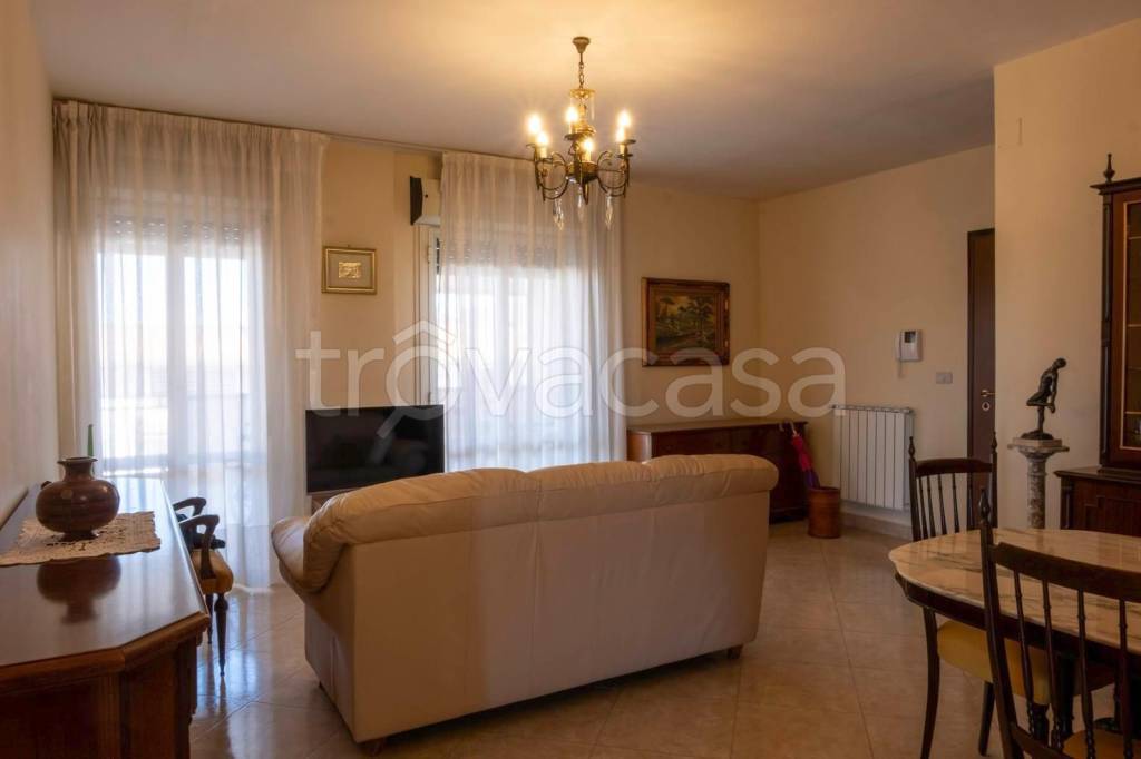 immagine annuncio 1 di 12