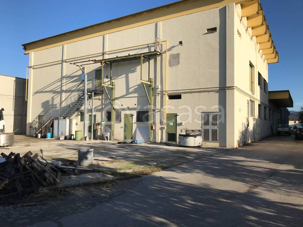 immagine annuncio 9 di 12