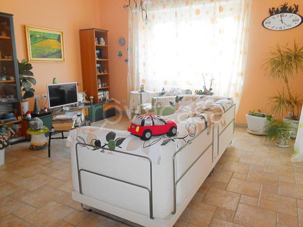 immagine annuncio 6 di 15