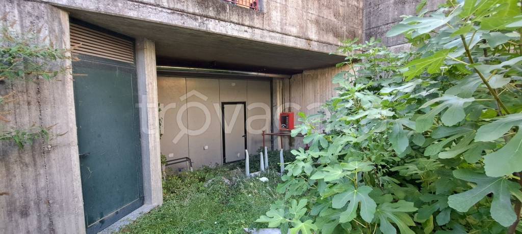 immagine annuncio 5 di 6