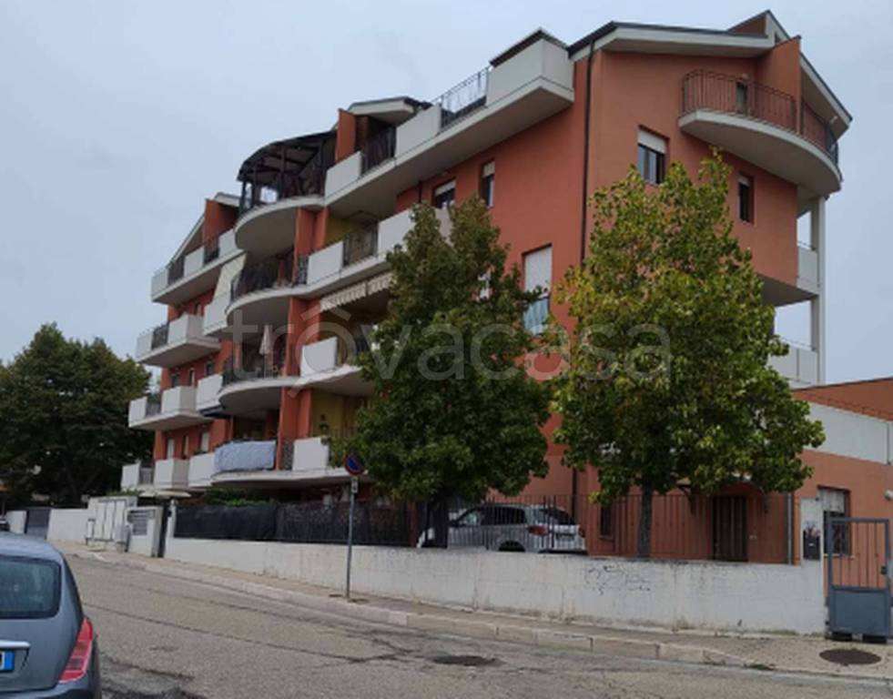 immagine annuncio 3 di 11