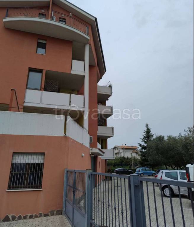 immagine annuncio 10 di 11