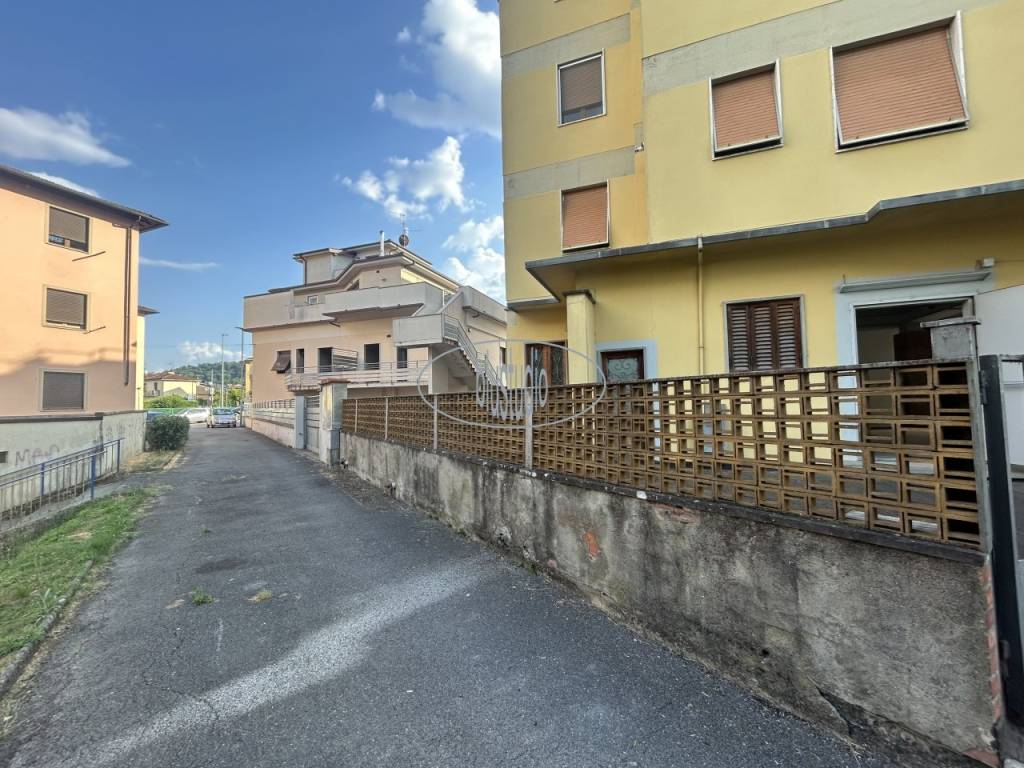 immagine annuncio 7 di 14
