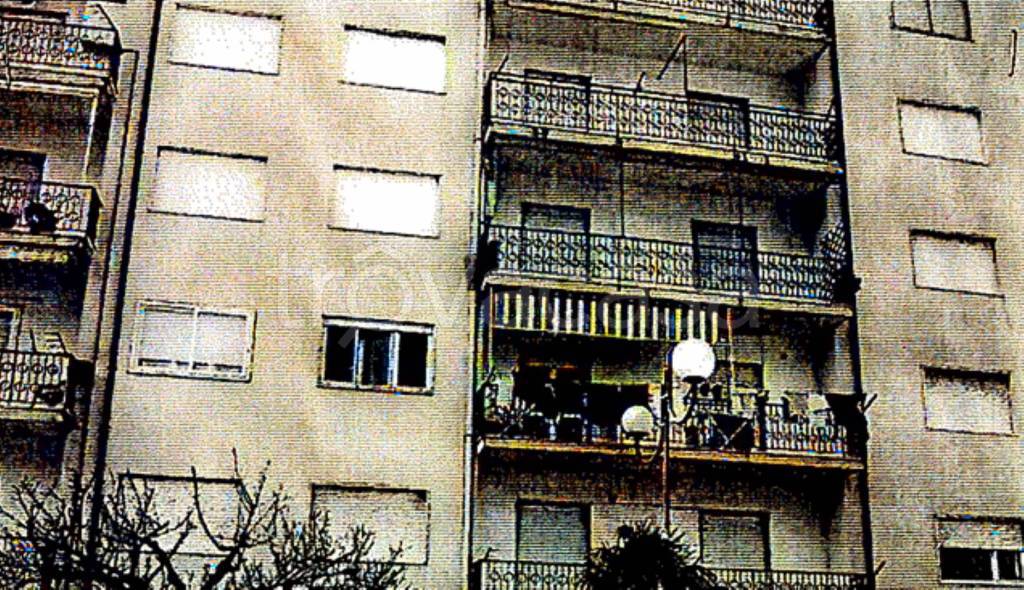 immagine annuncio 3 di 14