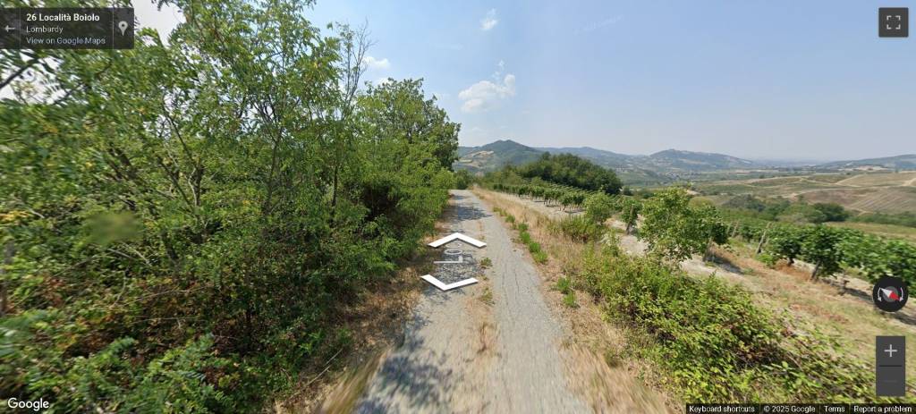 immagine annuncio 11 di 13