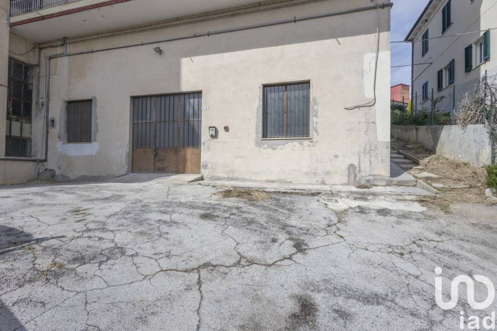immagine annuncio 11 di 14