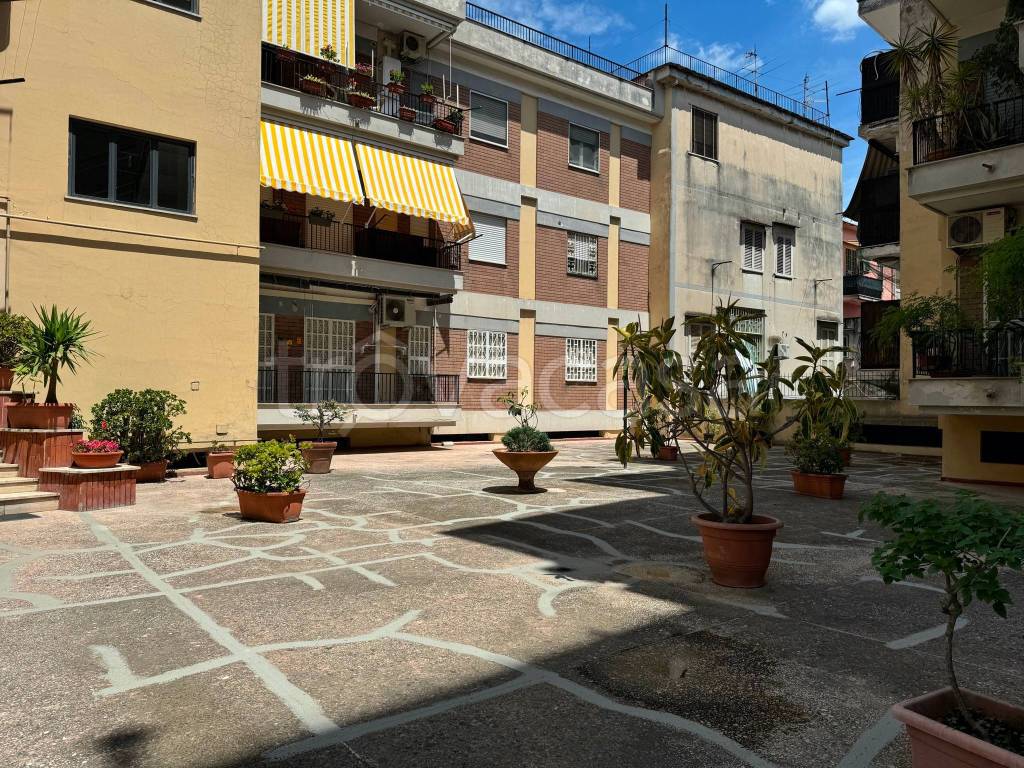 immagine annuncio 4 di 9