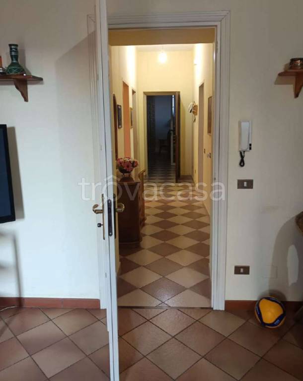 immagine annuncio 9 di 14