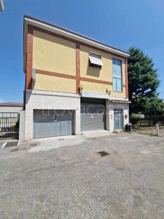 immagine annuncio 1 di 13